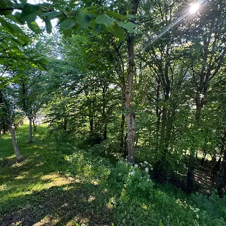 Villa Relax Misevici Sarajevo
