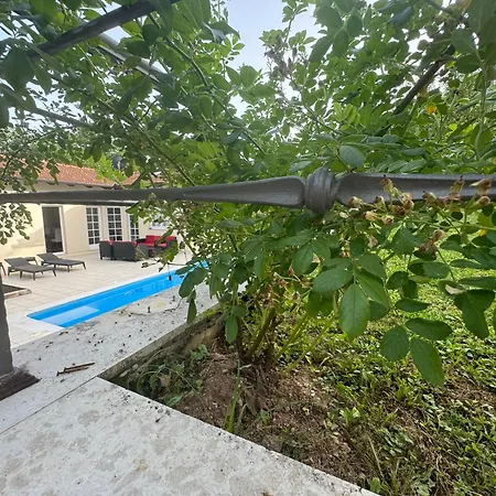 Relax Misevici Villa *